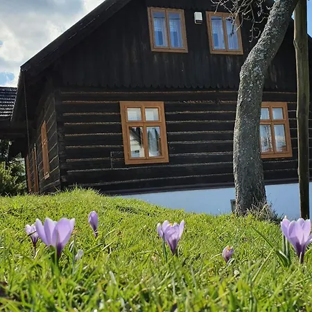 Chata Zwierzowka מלון Zwardoń