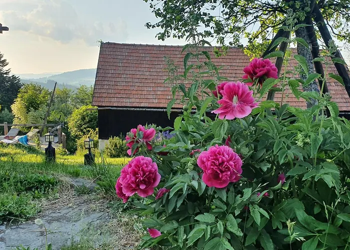 Hotel Chata Zwierzowka